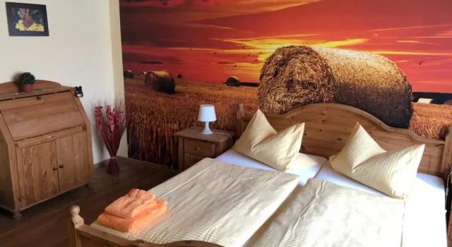 Двухместный номер Standard Hotel Schützenhaus