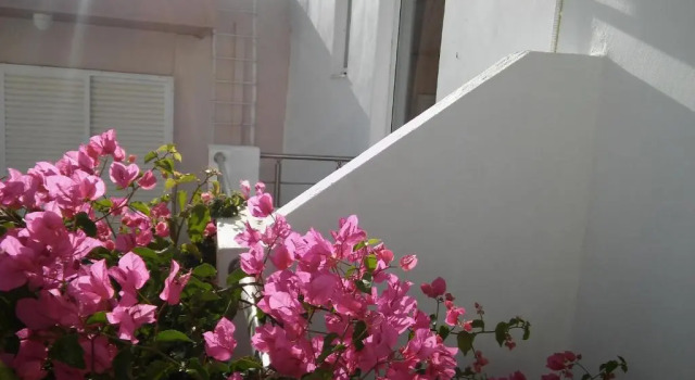 Студия Maria Studios and Apartments