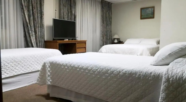 Двухместный номер Standard Gran Hotel Ambassador
