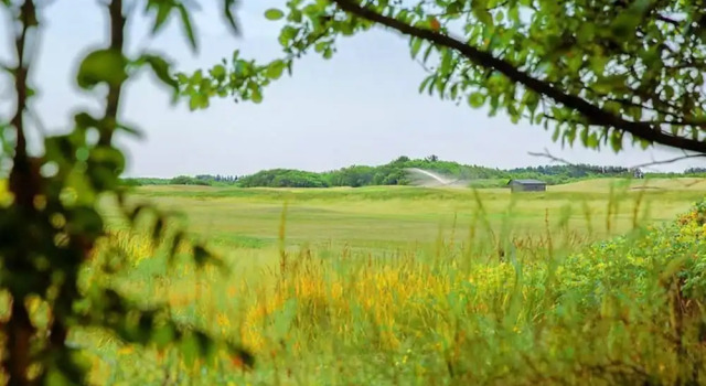 Коттедж Holiday Home in Ameland by Golf Course