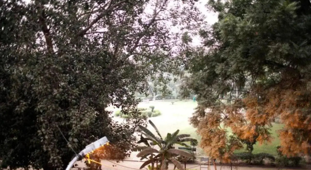 Bluo Park Facing 3Bhk - Balcony, Lift, Parking