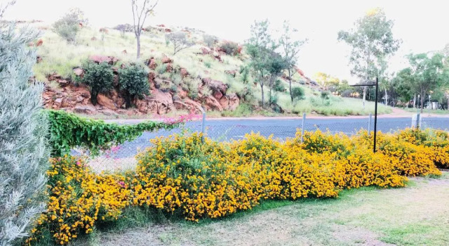 Entire 4 Bedroom pets friendly home in Alice Springs CBD with 2 kitchens 2 bathrooms Toilets and plenty of free secured parking
