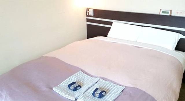 Двухместный номер Standard Hotel Furukawa Hills