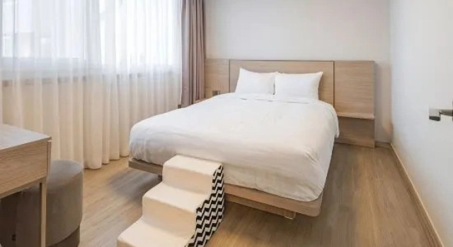 Двухместный люкс Kumho Seorak Resort