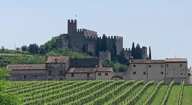 Soave House Alle Vigne-2-Luxury Stay, Prenota Appartamento Hotel a Veneto con piscina, Piscina