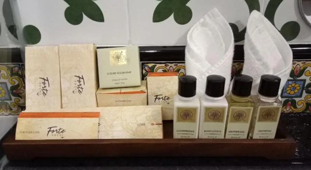 Двухместный номер Classic Forte Kochi