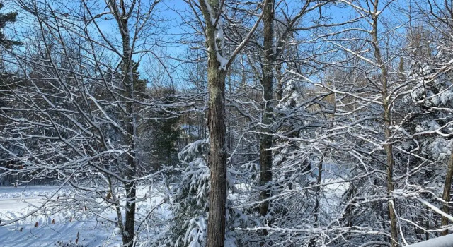Woodland Lodging, Rezerwuj Hotel Bayfield 