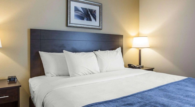 Двухместный люкс MainStay Suites Cartersville