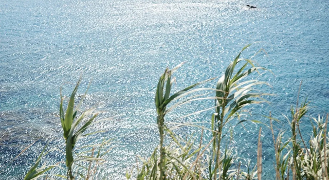 Вилла Thea Mykonos Lolita, a Resort to Live