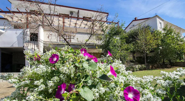 Apartment Zrinka in Starigrad Paklenica with terrace and seaview