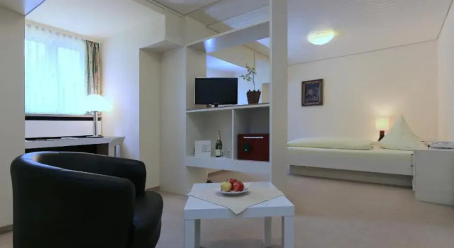 Одноместный номер Comfort Hotel Hirschen