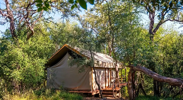 Номер Standard Aha Thakadu River Camp