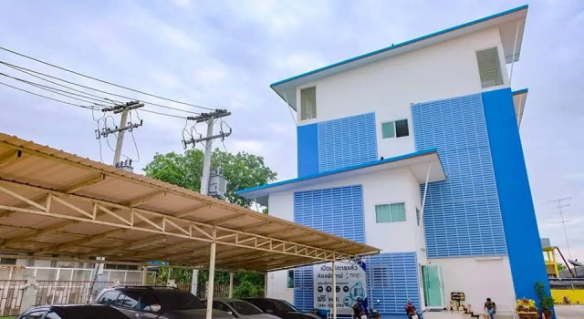Номер Economy Tulip Place