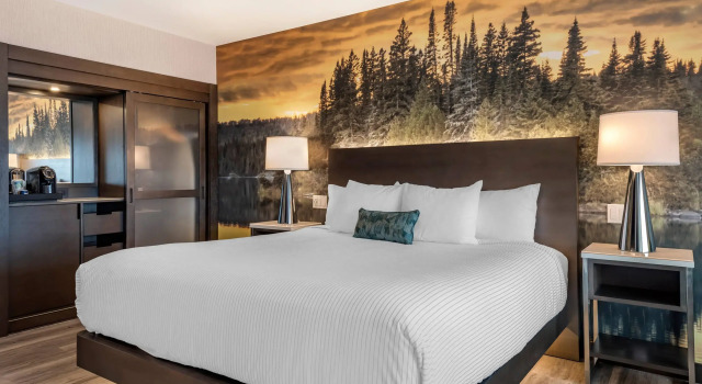 Двухместный номер Standard Отель Cambria Hotel Shelby Township - Detroit Utica