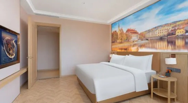 Люкс Deluxe Vienna Hotel (Sanming North Station)
