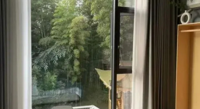 Люкс Southern Sichuan Bamboo Sea Forest Resort Homestay