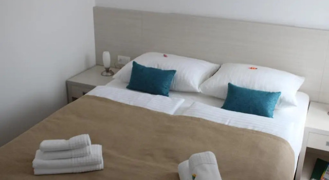 Двухместный номер Economy Hotel Borovnik