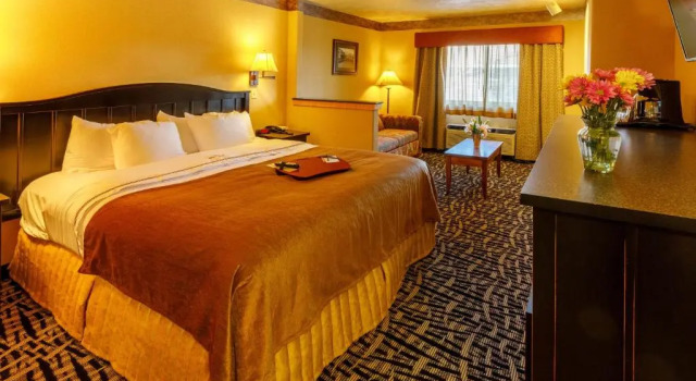 Двухместный люкс 49er Inn & Suites