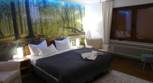Номер Standard Hotel Sonnenhof