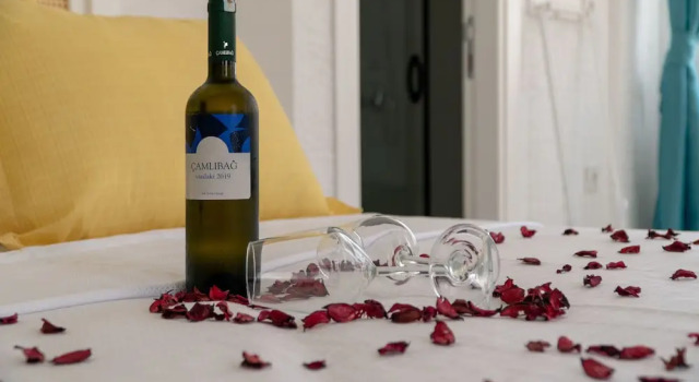 Семейный номер Standard с видом на сад Vina Garden