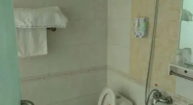 Dongfang Hotel (Feixian Shengli Road Store)