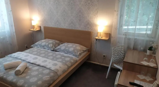 Двухместный номер Standard Hotel Boršičanka