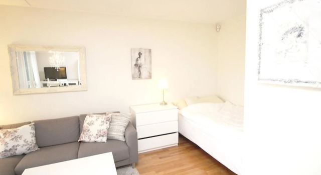 Nordic Host -Nydalen Studio -Next to BI, Buchen Sie Ferienwohnung Oslo Bezirk Oslo