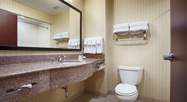 Номер Standard Best Western Plus Waxahachie Inn & Suites