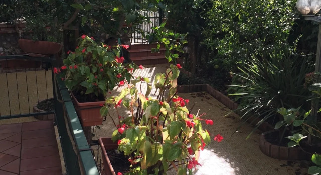 Comfortable apartment in Sorrento centre, Забронировать Апартаменты/квартира Отели Побережья Сорренто с бассейном, Бассейн