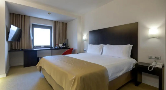 Двухместный номер Ramada Plaza by Wyndham Bucharest Convention Center
