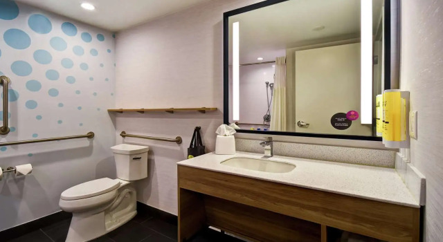 Номер Standard Tru By Hilton Sterling Heights Detroit