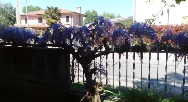 Апартаменты Appartamento Casa della Nonna
