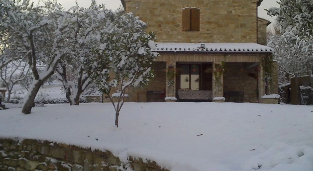 Bed and Breakfast La casa delle rondini, Boek Bed and Breakfast Staffolo 