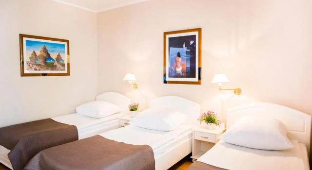 Трёхместный номер Standard Hotel Renusz