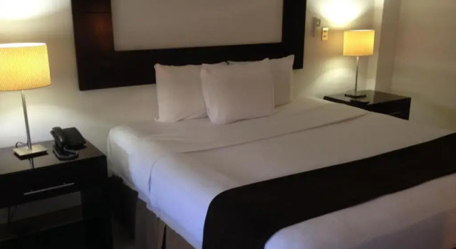 Полулюкс Hotel Brandts Ejecutivo Los Robles