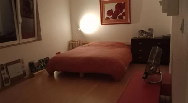 Loft avec Terrasse 77 M2 et 24 M2 STRASBOURG 2 à 6 couchages G Friendly, Prenota Appartamento Strasburgo Strasbourg Eurometropole