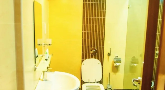 Camera Standard Parrot Hotel Arusha