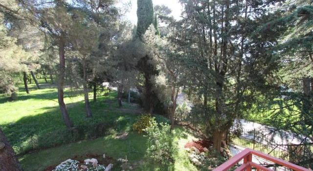 Apartment Clementina