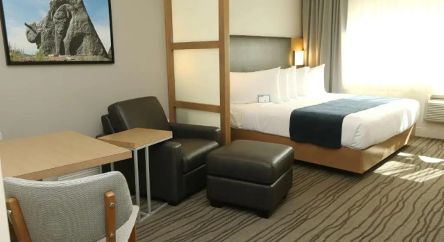 Номер Standard Best Western Plus Sawridge Suites