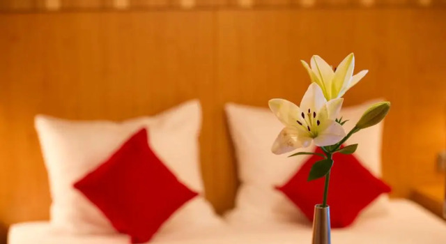 Номер Standard Pension Appartement Lanzer