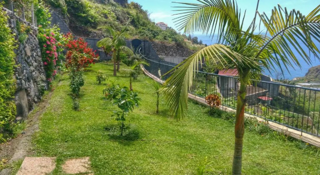 Quinta Terezinha