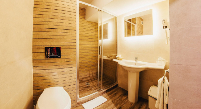 Двухместный номер Standard Hotel Best Western Bucovina
