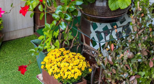 Студия Standard Four Seasons Pension