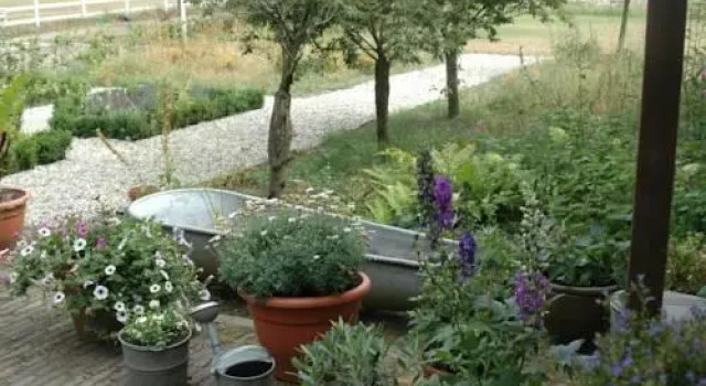Buitensporthotel, Rezervasyon Otel Hoenderloo Veluwe