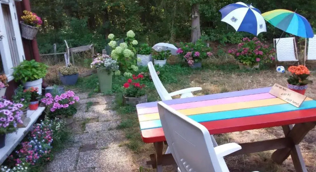 Номер Standard Regina Vught