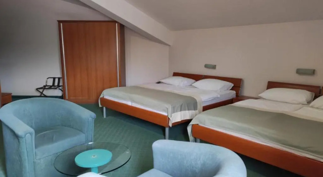 Номер Standard Hotel Bacchus