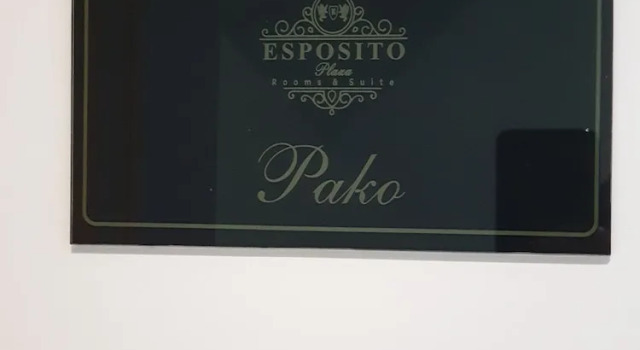 Одноместный номер Standard ESPOSITO PLAZA- ROOMS & SUITE