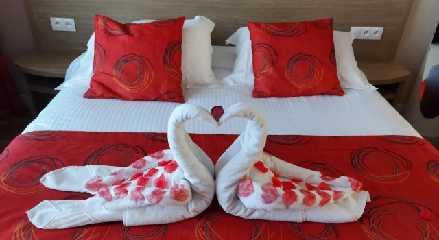 Номер Comfort Contact hôtel - Hôtel Les Bleuets & SPA