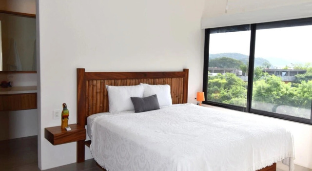 Agaves 203