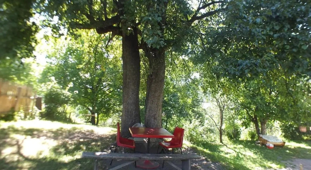Номер Standard Gogi Jafaridzes Guesthouse